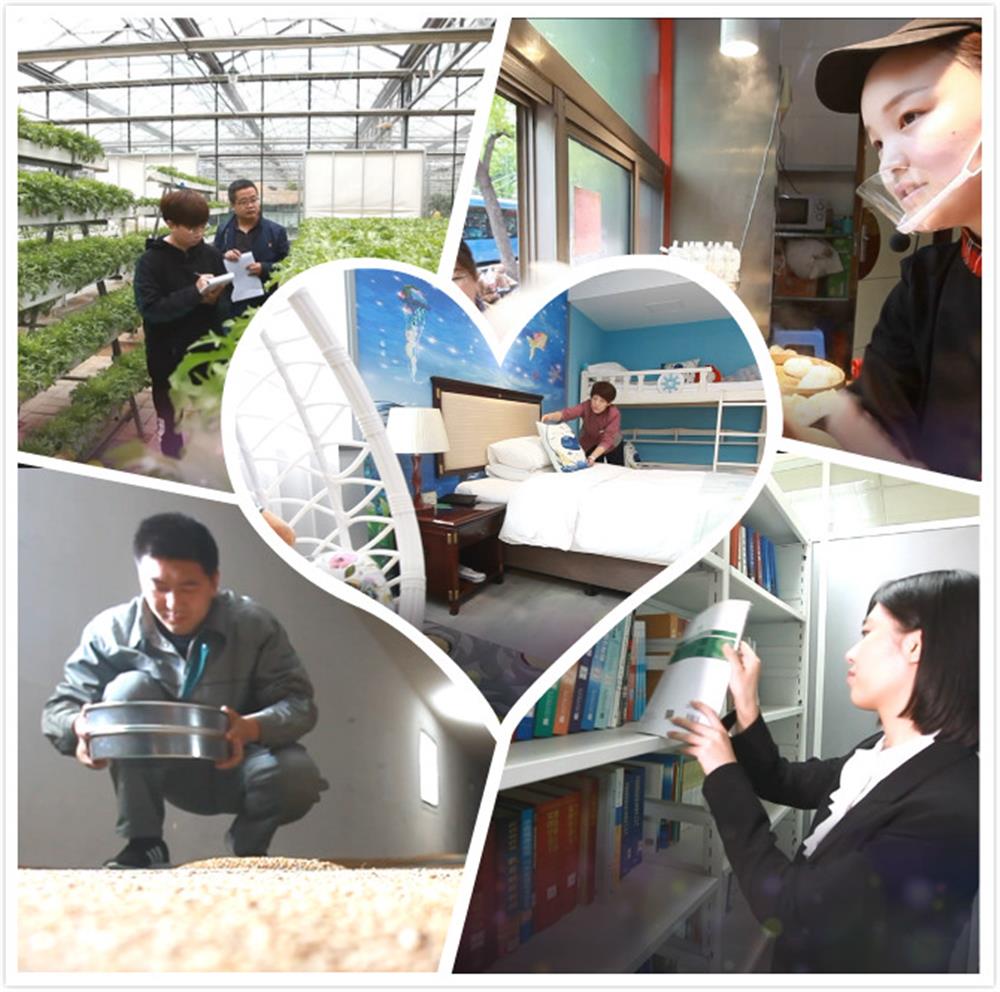 “見(jiàn)證城市變化  助力集團發(fā)展”