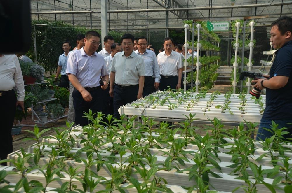 科技助農，播撒光的種子  精準扶貧，助力鄉村振興